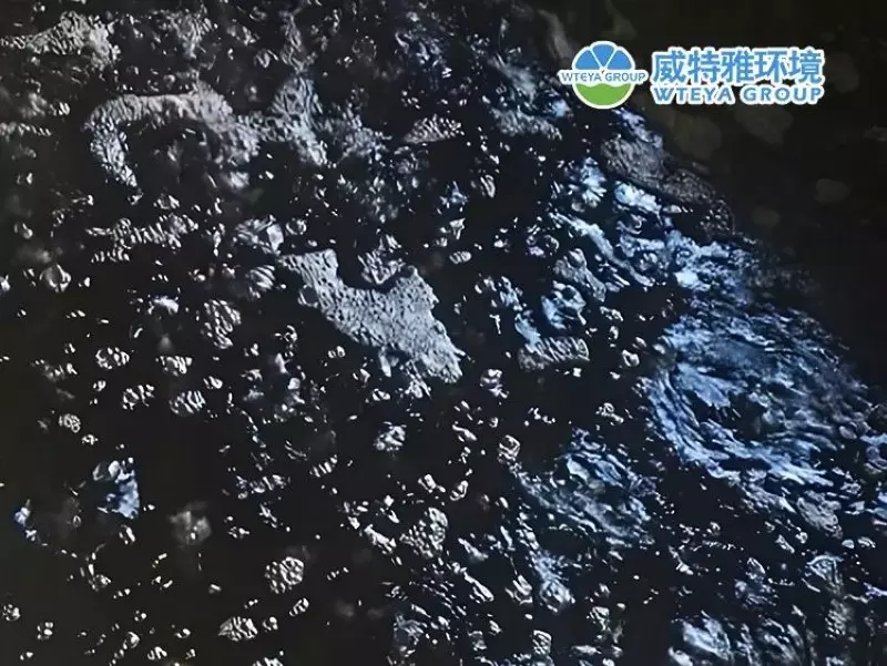 Industrial Wastewater Treatment