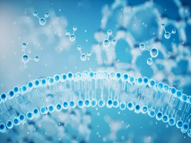seawater desalination systems